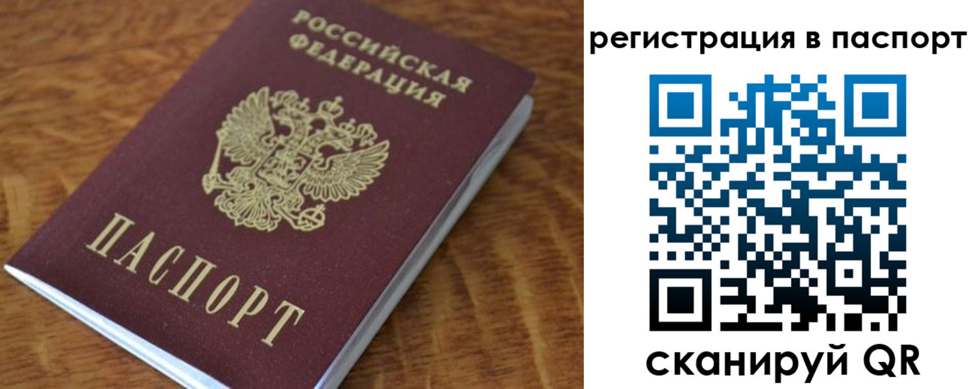 регистрация для школы в Кольчугино