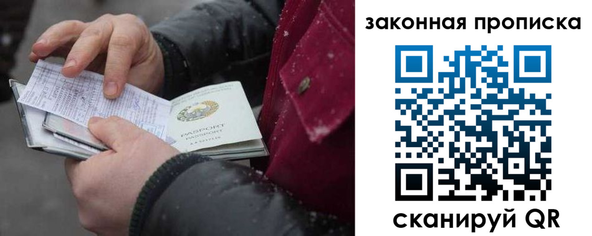 прописка поиск в Кольчугино