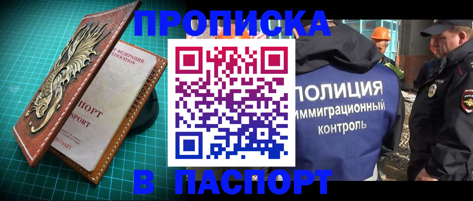 прописка в Кольчугино